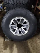 Falken. ����� mt, �/�, ����� 70�% ����