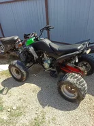 Bashan CK 250S. �������� ����