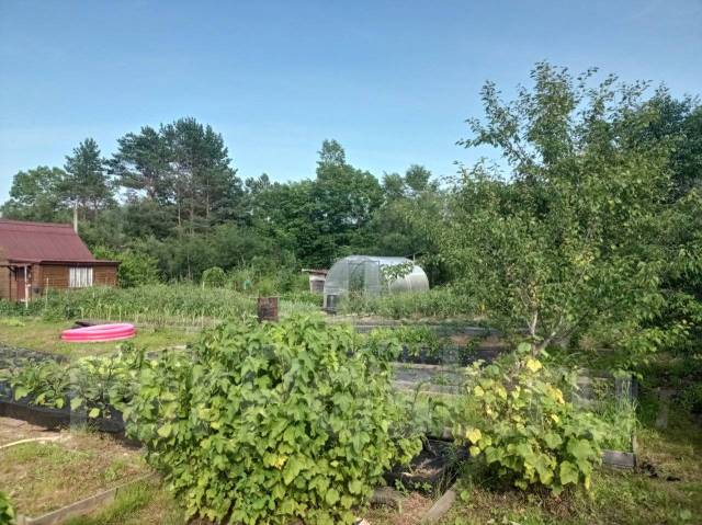 дача 16 км. на даче. дача 16 км. дача на 16 км. хабаровск.