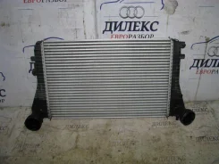 ���������� Volkswagen Tiguan 2009 [3C0145805R] 3C0145805R ����