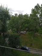 2-���������, ����� ���� 31. �����, ���������, 46���.��., 5/5 ����, ������������� ������. ��� �� ���� ���� ����