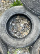 Bridgestone Turanza GR80. ������, �/�, ����� 50�% ����