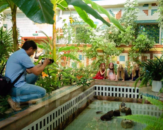 ����� �������. ����