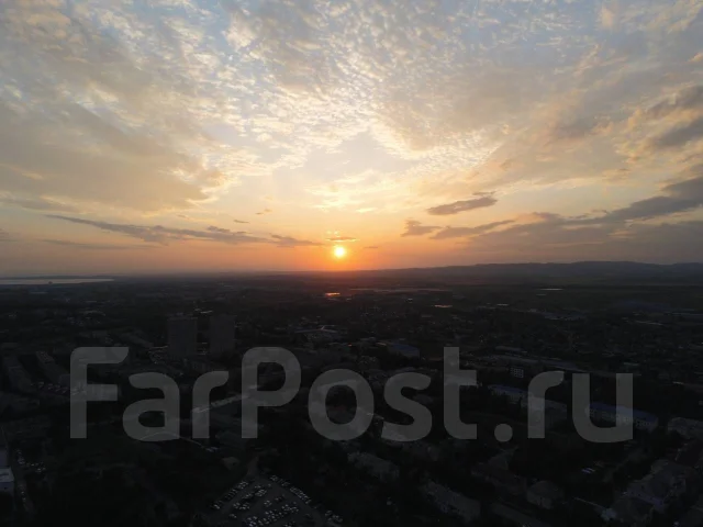 Parrot. � ������� ����