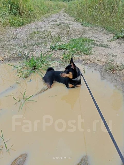 �����������. ����