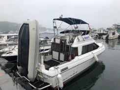 Bayliner. 1991 ���, ����� 9��., ��������� ������������, ������ ����