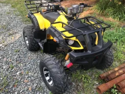 Tiger Sport 250, 2020. ��������, ��� ���\���, ��� ������� ����