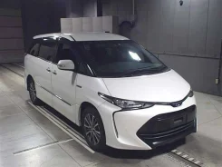 Toyota Estima. ��������, 4wd, 2.4 (150��.�.), ������, 63����. ��, �/�. ��� ����� �� ������������ ����