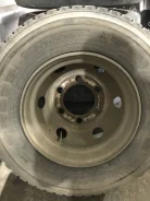 3SDM. x17.5" ����