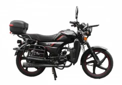 Regulmoto Alpha RM-2. 110����. ��., ��������, ��� ���, ��� ������� ����