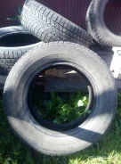 Gremax. ������, ����������, 2013 ���, �/�, ����� 20 % ����