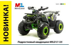 Motoland Wild 125. ��������, ��� ���\���, ��� ������� ����