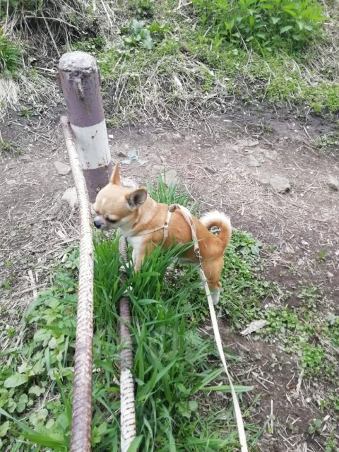 ��������. ����