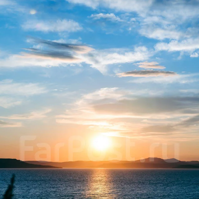 Nikon D5100 ����