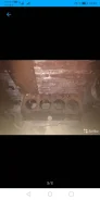 ��� �-40 ����