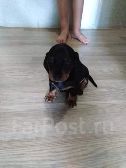 �����. ����