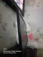 HP. 22" ����