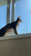 ������. ����