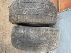 Bridgestone Blizzak WS-60. ������, ��� �����, 2010 ���, �/�, ����� 50�% ����