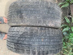 Bridgestone Blizzak Revo1. ������, ��� �����, 2005 ���, �/�, ����� 50�% ����