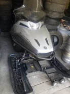 Yamaha Viking Professional II. ��������, ���� ���, ��� ������� ����
