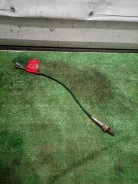 ������ ������ ���� (������ �����������) 8946512520 ����