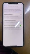 Apple iPhone Xs Max. �/�, �����, 3G, 4G LTE, Dual-SIM, NFC ����