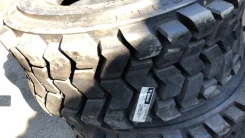 Bobcat. �����������, 2020 ���, ����� ����