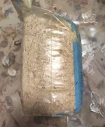 ������. ����