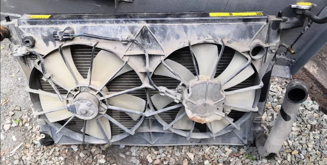 �������� ���������� 164007a590 ����