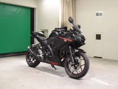 Yamaha YZF-R25. ��������, ���������, ��� �������. ��� ����� �� ������������ ����