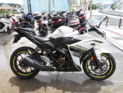 Yamaha YZF-R25. ��������, ���, ��� �������. ��� ����� �� ������������ ����