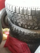 Akita. x15" ����