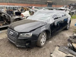 Audi A5 ����