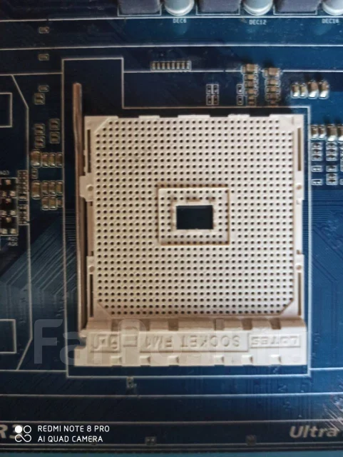 AMD ����