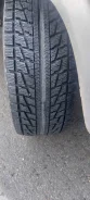 Bridgestone Blizzak MZ-01. ������, �/�, ����� 5 % ����