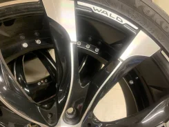 Wald. x22" ����
