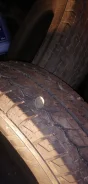 Dunlop SP 185. ������, �/�, ����� 5�% ����