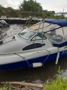 ������. 2011 ���, ����� 5,6��., ��������� ���������, 115��.�., ������ ����