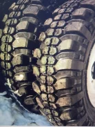 Forward Safari 500. ����� at, ����� ����