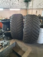 ������. �����������, 2020 ���, ����� ����