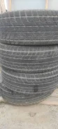 Presa PI14. ������, ��� �����, 2018 ���, �/�, ����� 50 % ����