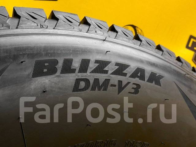 Bridgestone Blizzak DM-V3. ,  , 2021 ,  