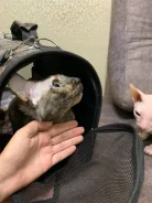 ������. ����
