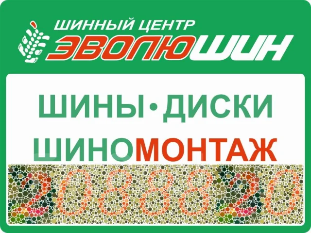 Bridgestone ST30. ������, ��� �����, 2010 ���, �/�, ����� 10 % ����