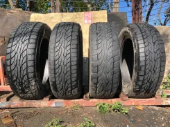Nankang NS All-Sport Performance X/P. ������, 2008 ���, �/�, ����� 40 % ����