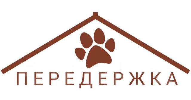 Передержка (зоогостиница) собак и др. животных, дом р-н Весенней во ...