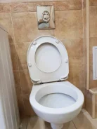 ������ ���������. ����