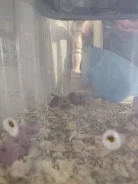 ����. ����