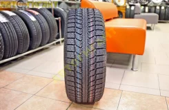 Nitto SN3 Winter. ������, ��� �����, 2021 ���, ����� ����